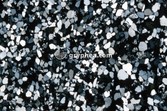 Grès rose LPA x3 - gryphea.com